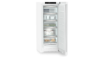 Congelateur Armoire 165,5CM Liebher FND7026